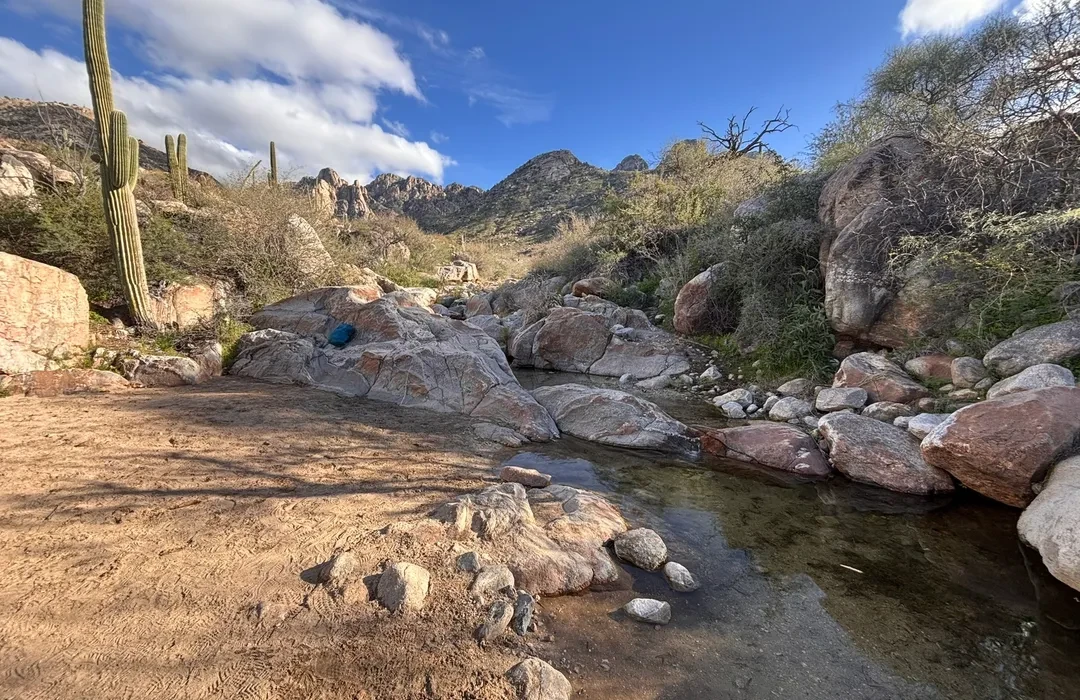 Catalina State Park